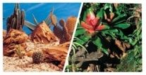 Фон для аквариума Marina кактусы и террариум