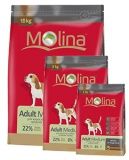Сухой корм для собак Molina Adult Medium
